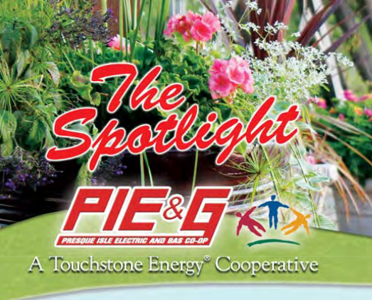 The Spotlight - August 2018