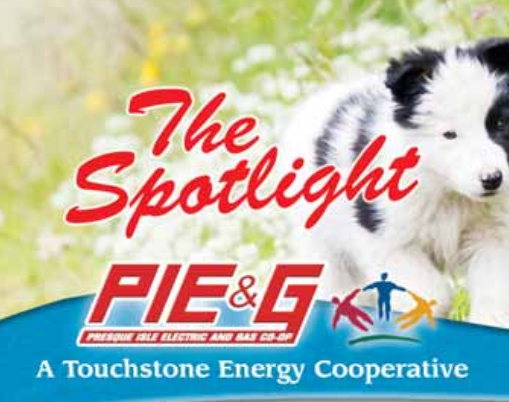 The Spotlight - May 2018